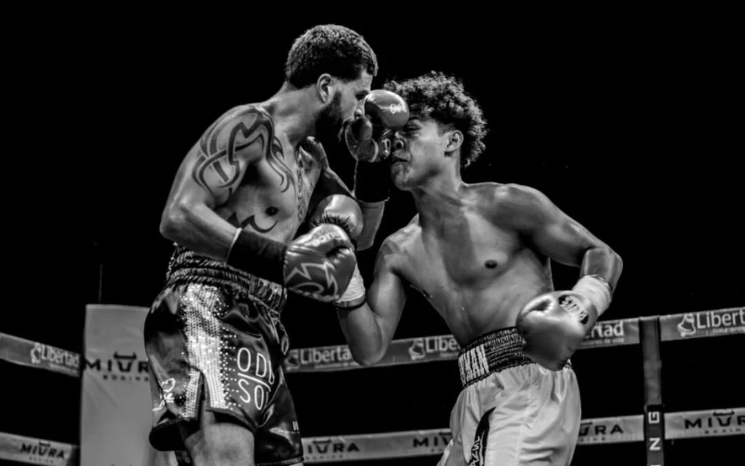 Miura Boxing