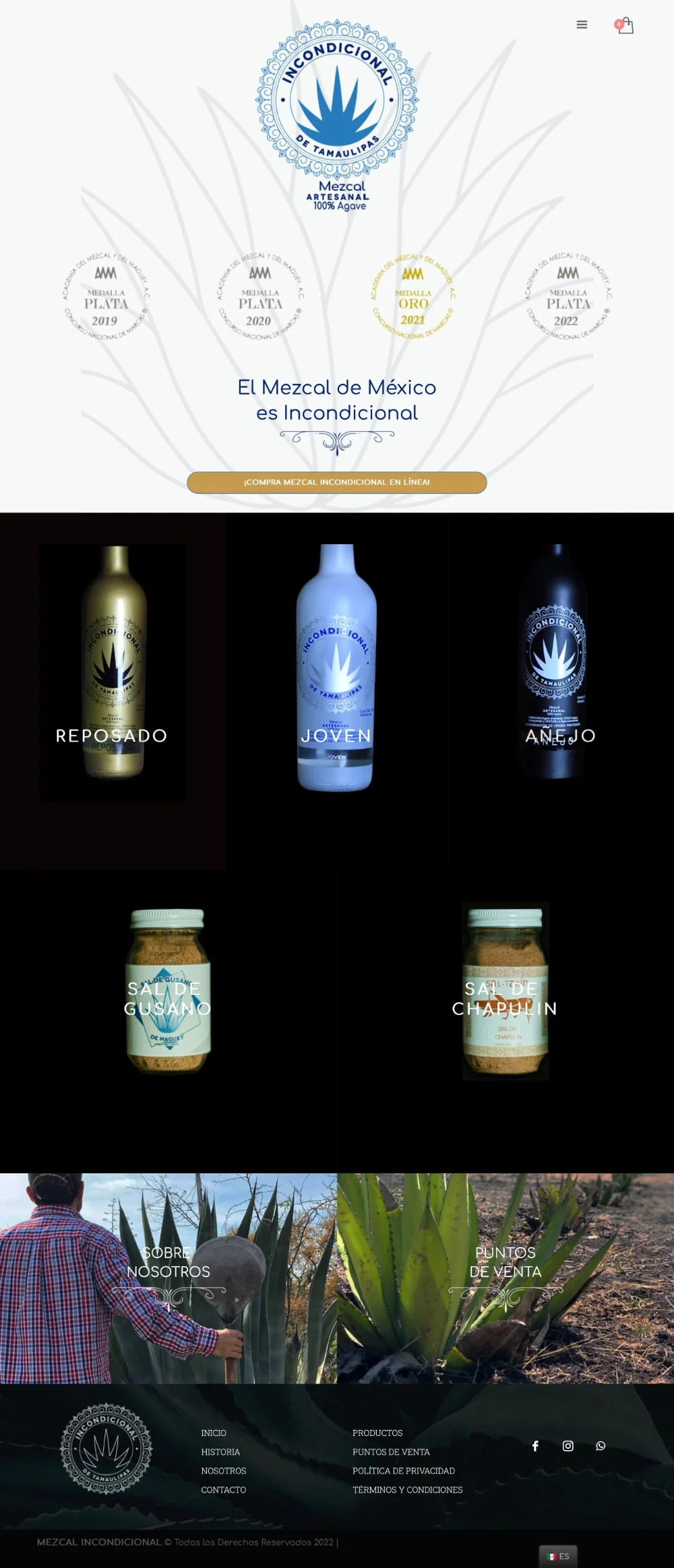 Sitio Web de Toloache Studio